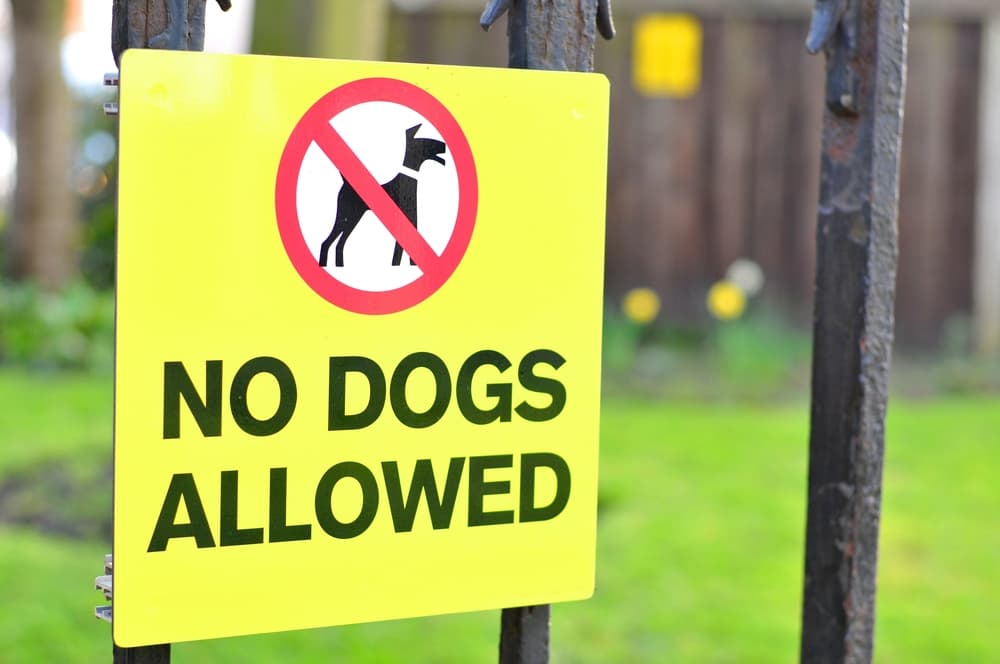 A sign that reads "No Dogs Allowed."