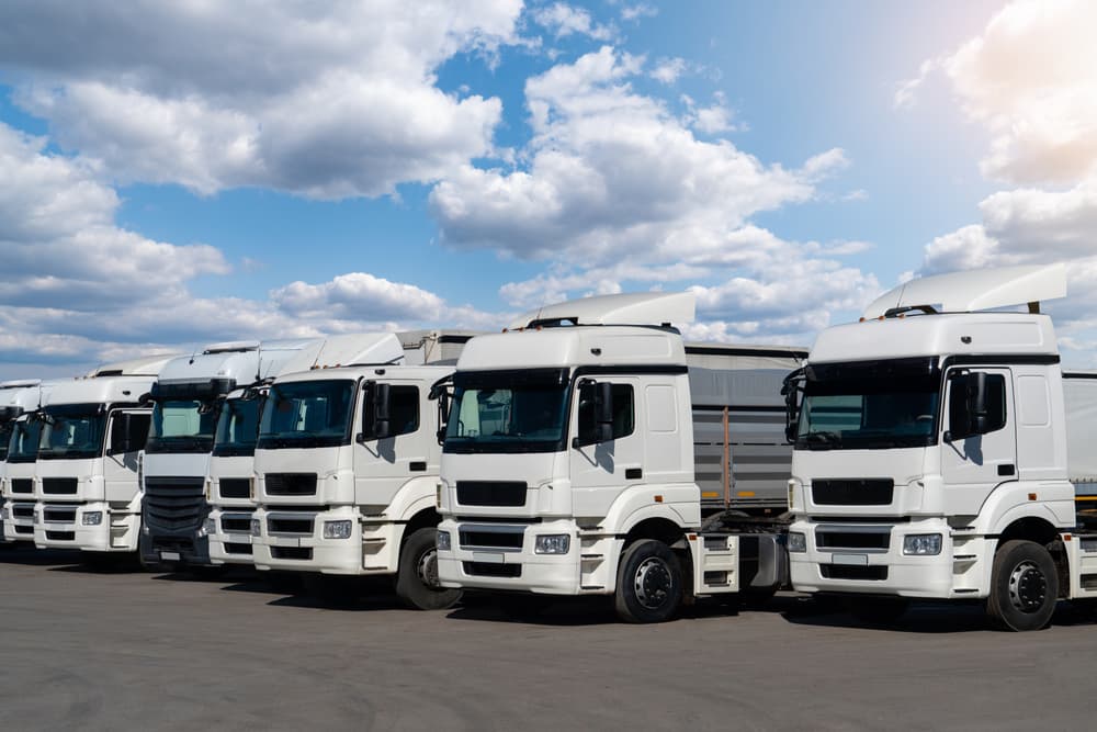 Many trucks parked in the yard